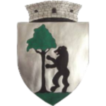 AS FC Timișul Urseni