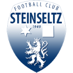 Steinseltz