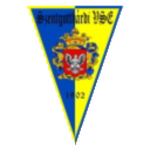 Kiswire Szentgotthárdi VSE