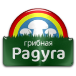 FC Gribnaya Raduga Kursk