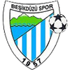 Besikdüzüspor