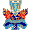 Llandrindod Wells FC