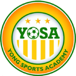 Yong Sports Academy